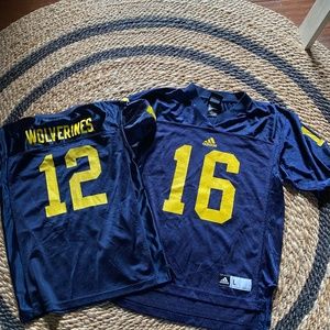 Michigan Jersey (2)